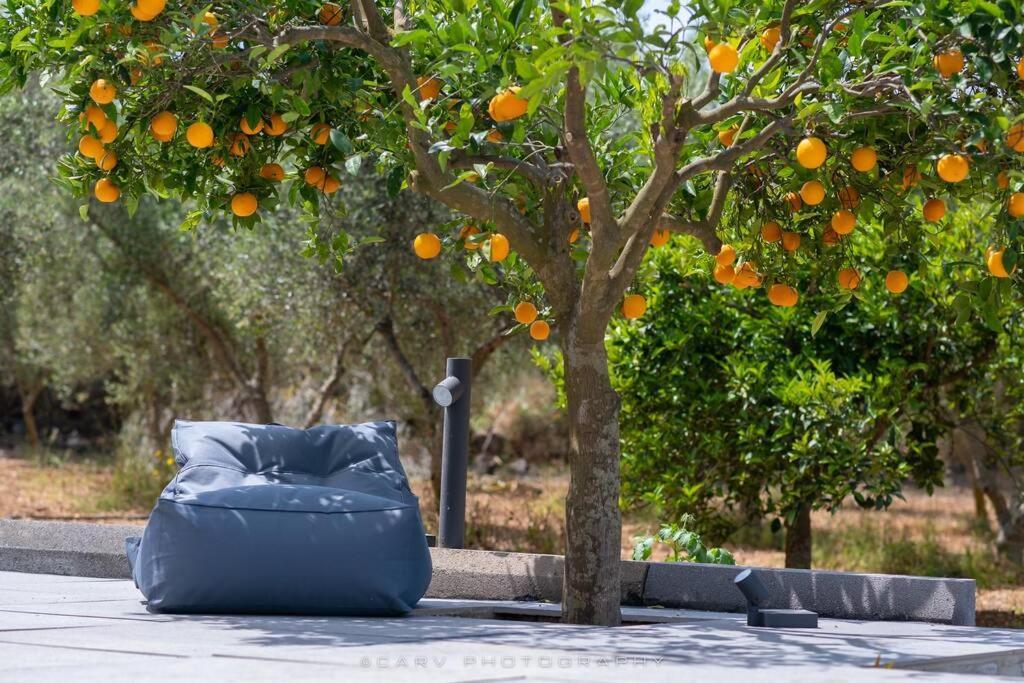 Orange Tree Villa Порто Хели Екстериор снимка