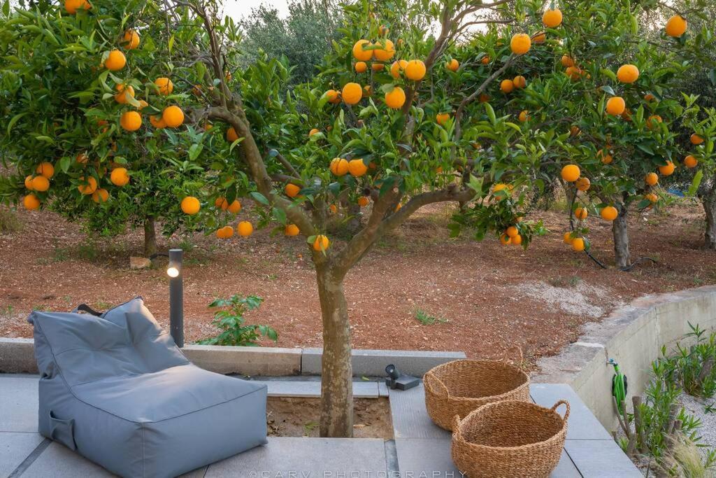Orange Tree Villa Порто Хели Екстериор снимка